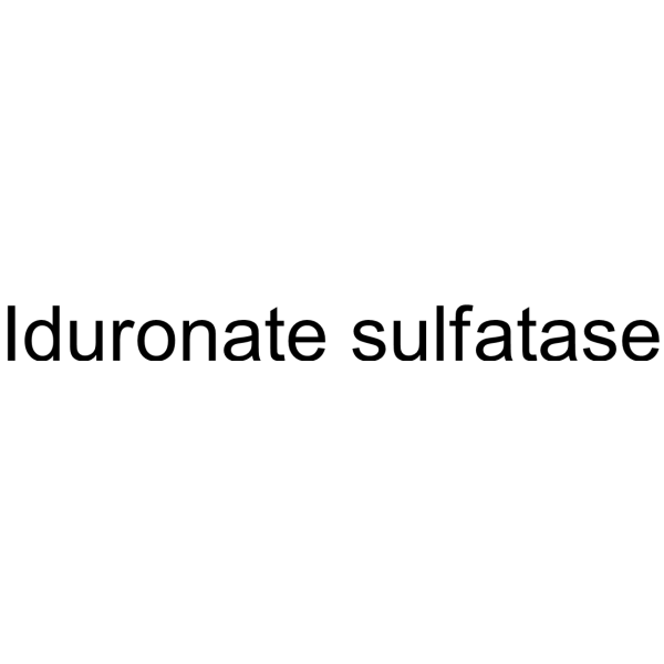 Iduronate sulfatase (Iduronate sulfate sulfatase) 50936-59-9